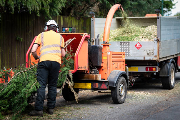 Best Best Tree Removal Services  in Hartsville, TN